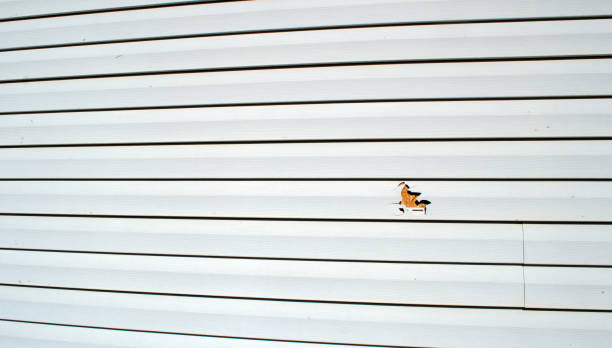 Best Brick Veneer Siding  in Lake Mohawk, NJ