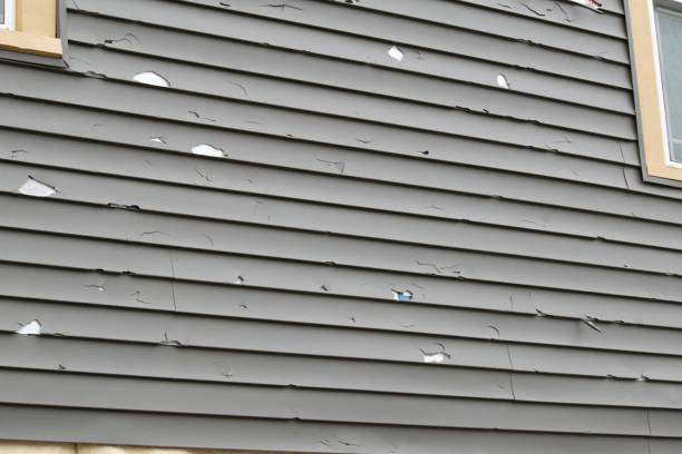 Best Residential Vinyl Siding Installation  in Lake Mohawk, NJ